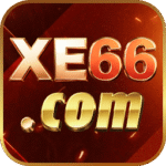 Xe66 official app icon